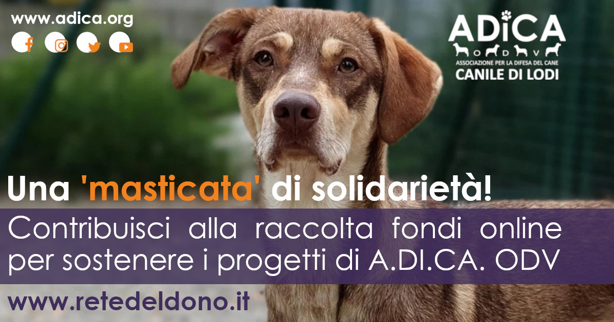 Una “masticata” di solidarietà!-A.DI.CA ODV
