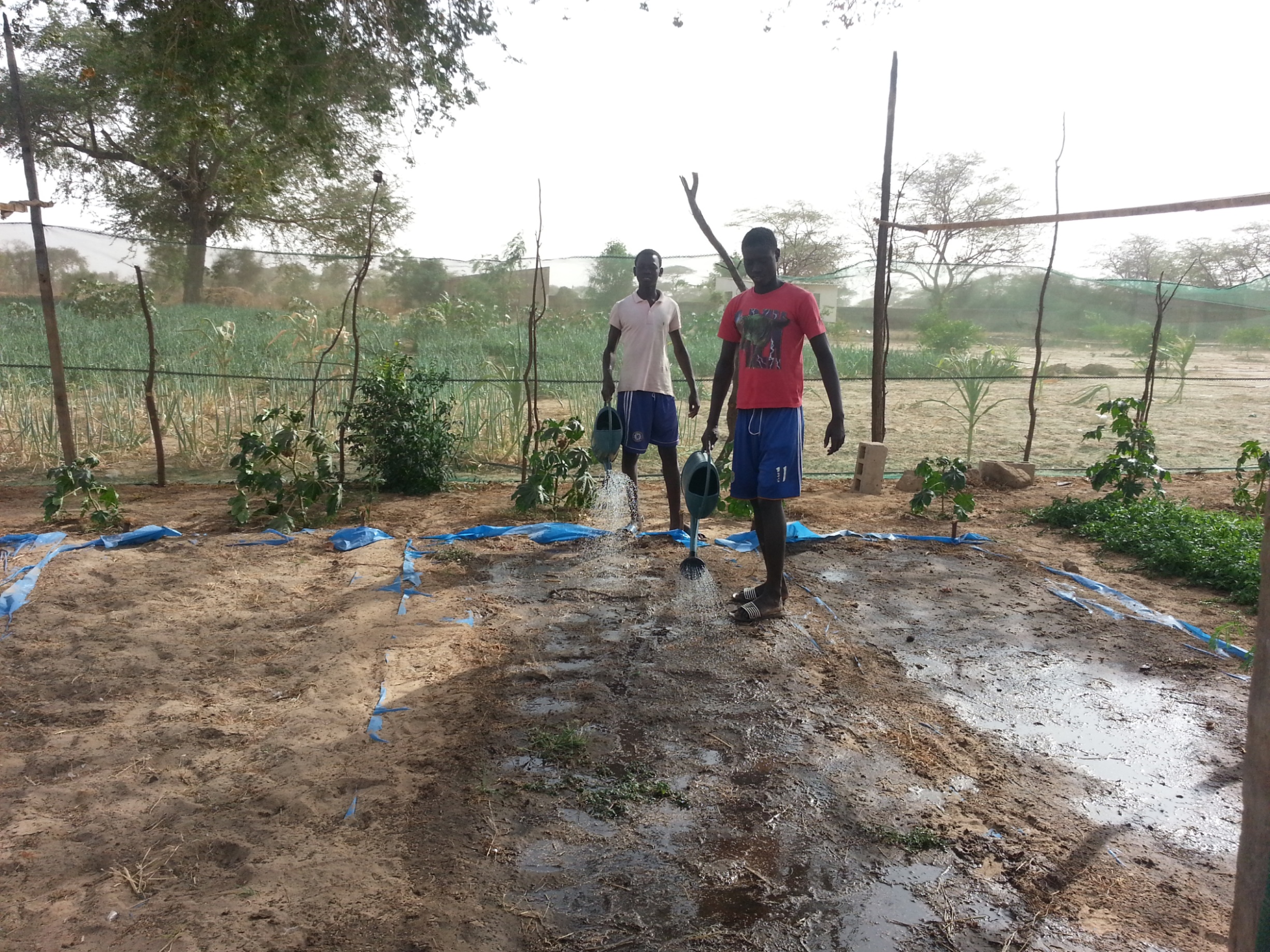 RINCORRIAMO IL SOLE-Fratelli dell'Uomo