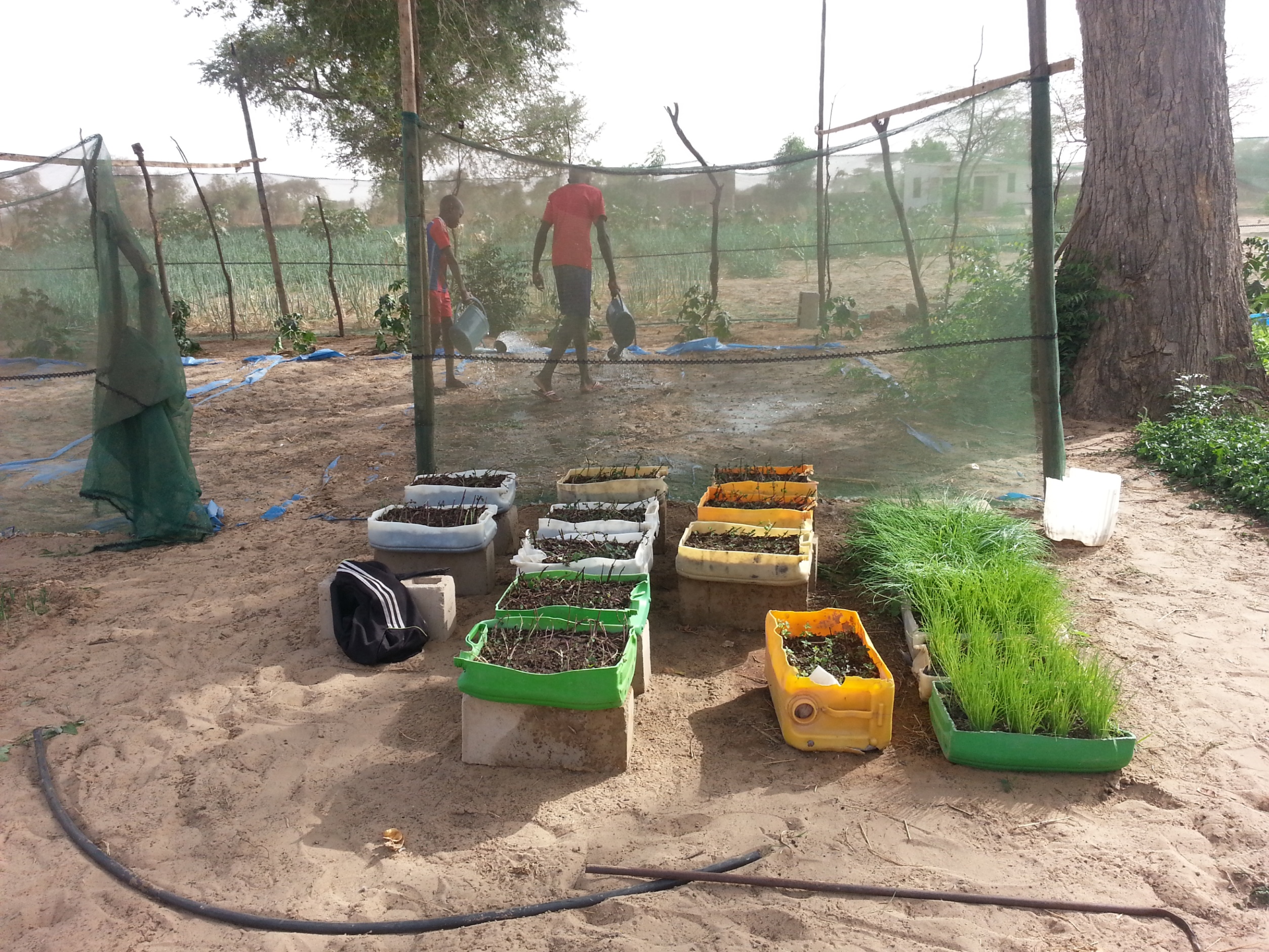 RINCORRIAMO IL SOLE-Fratelli dell'Uomo