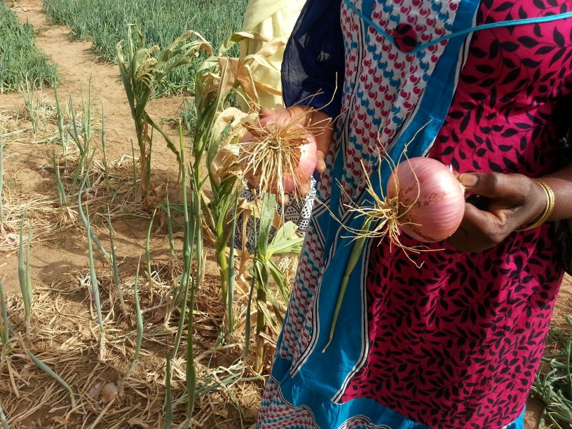 RINCORRIAMO IL SOLE-Fratelli dell'Uomo