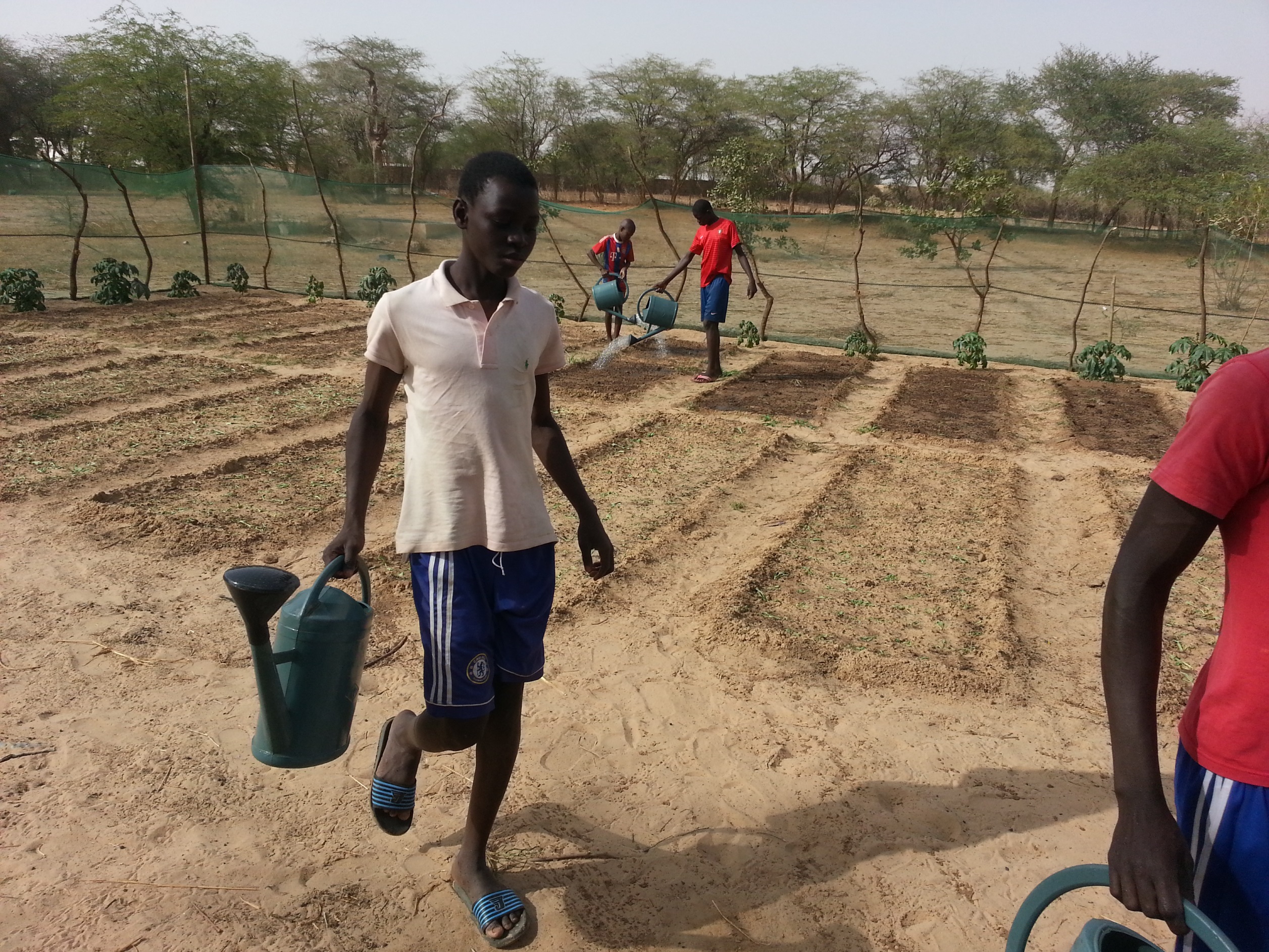 RINCORRIAMO IL SOLE-Fratelli dell'Uomo