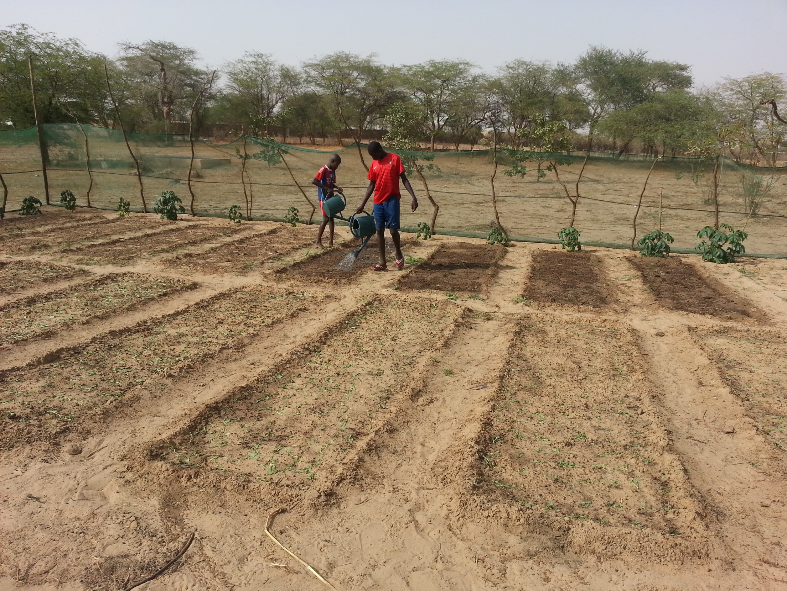RINCORRIAMO IL SOLE-Fratelli dell'Uomo