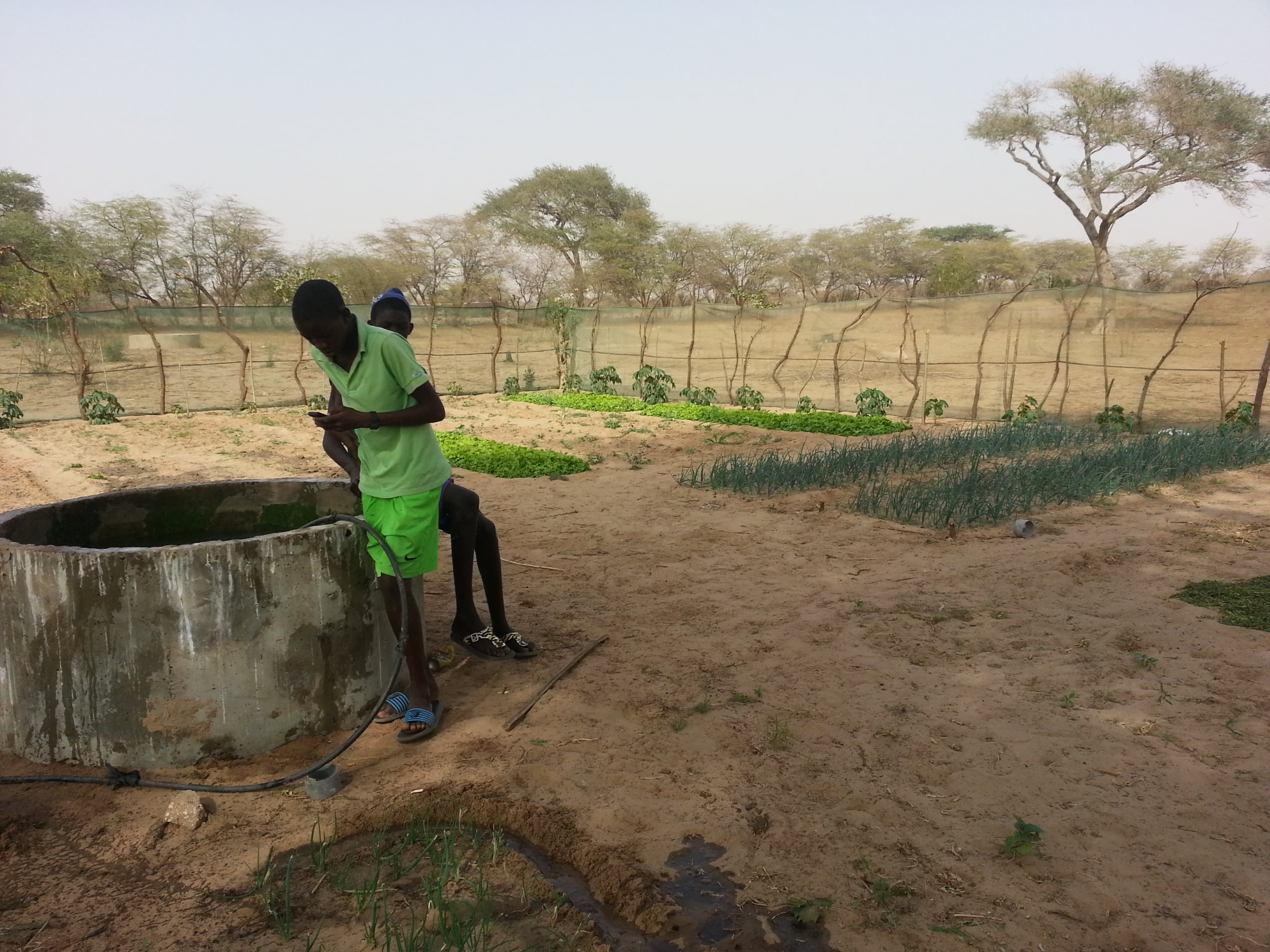 RINCORRIAMO IL SOLE-Fratelli dell'Uomo