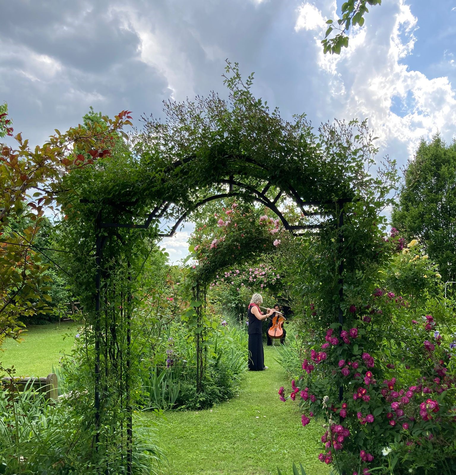 MUSICA NELL'ARIA, CURA PER L'ANIMA-ADVAR ONLUS