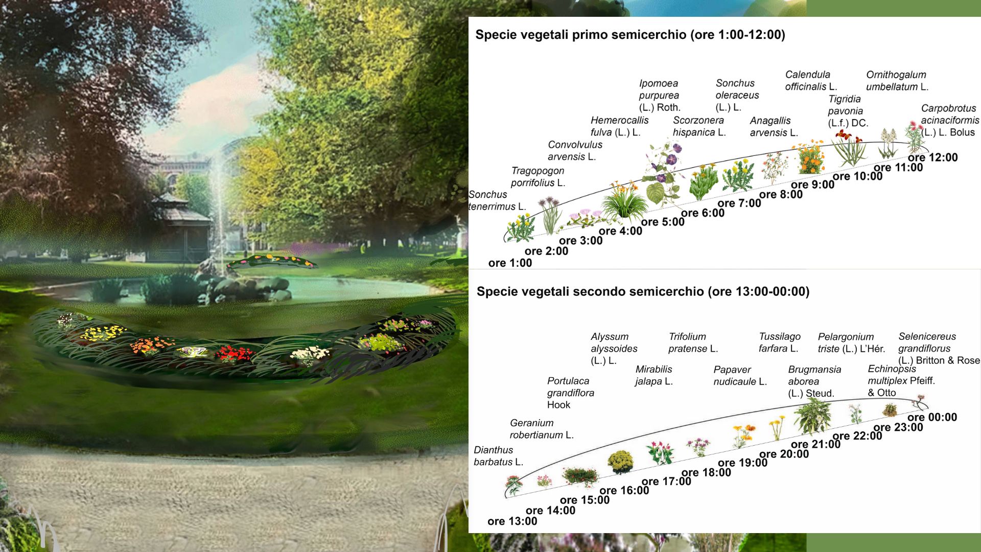 SEMINATO -Giardino forbito