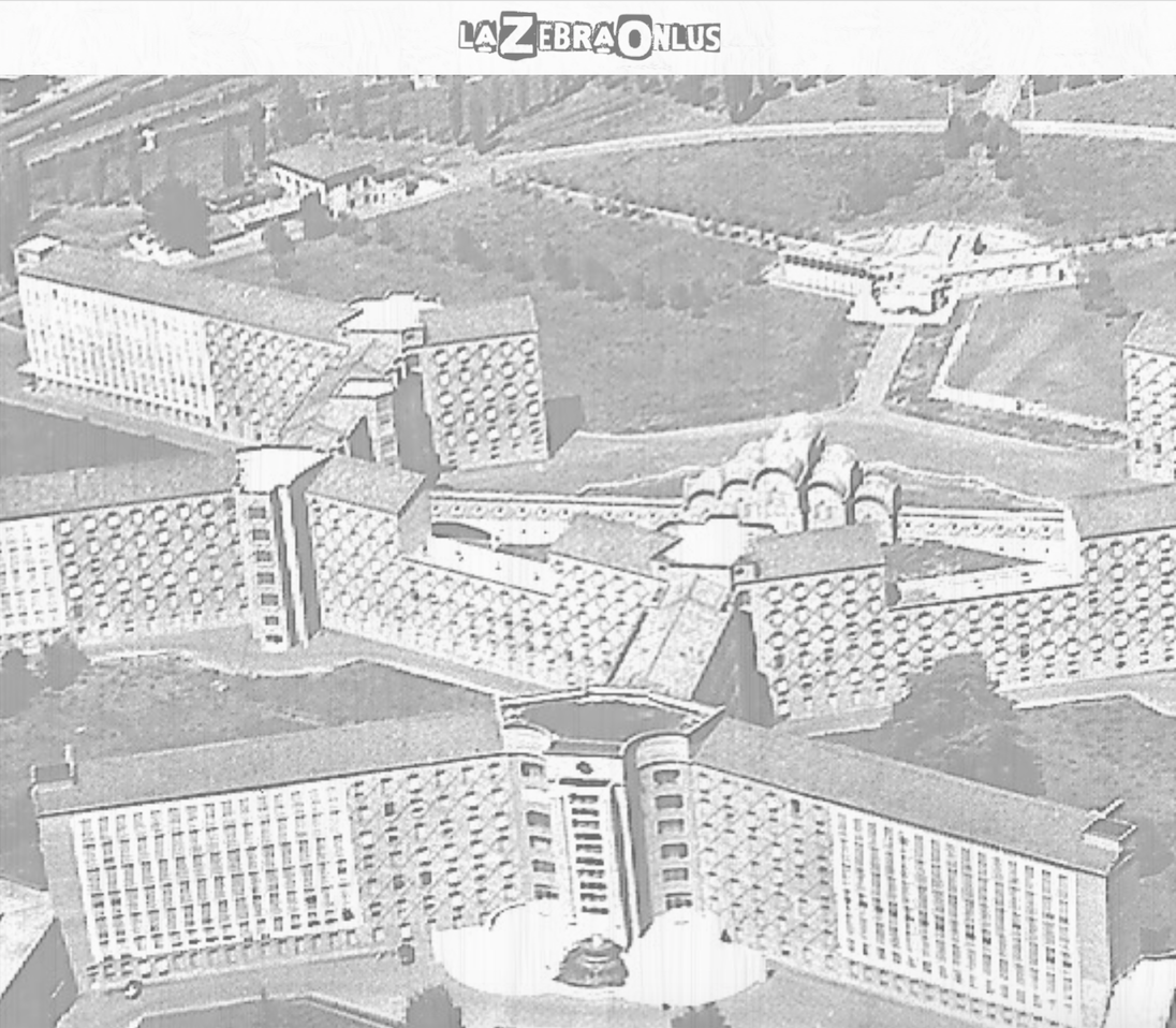 Risonanza Magnetica Pediatrica -La Zebra Onlus