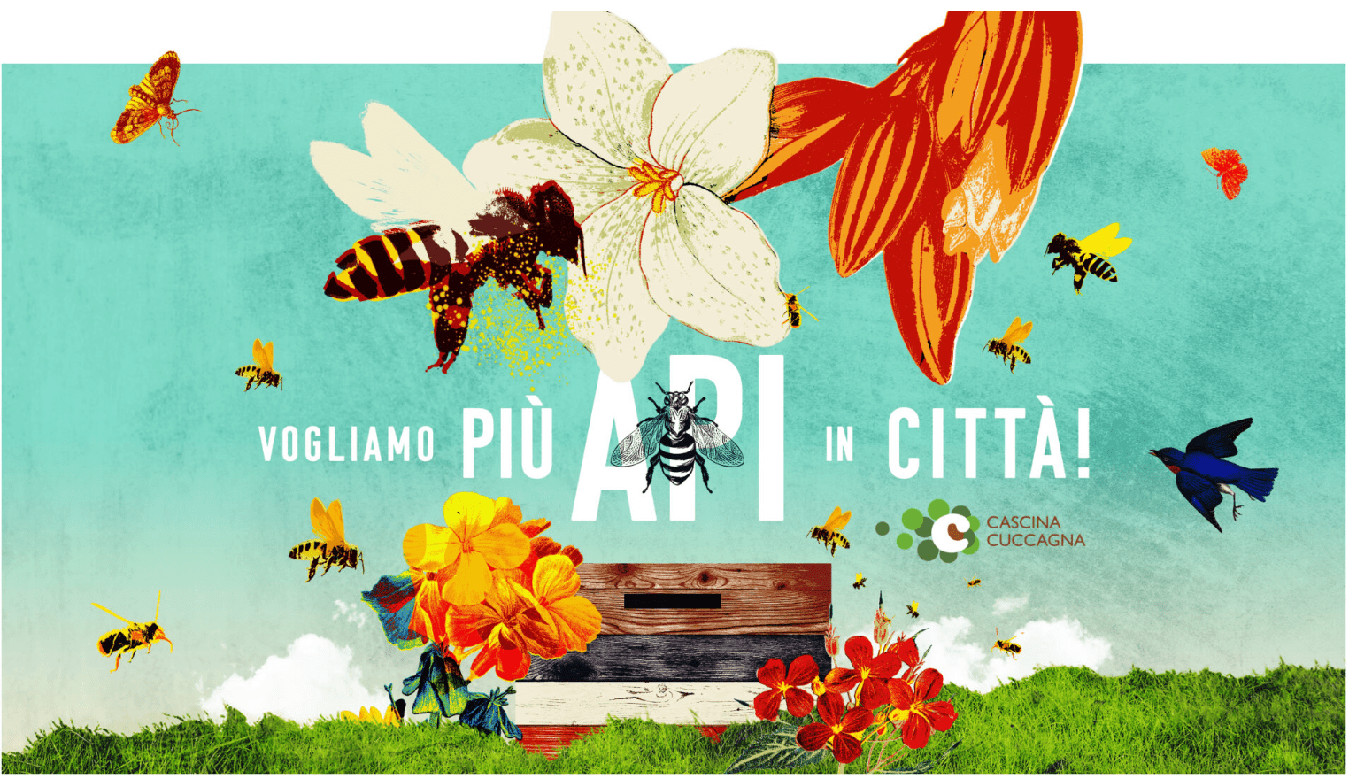 Vogliamo più api in città!-Cascina Cuccagna