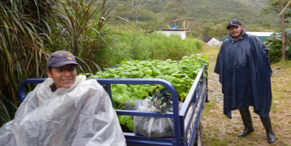 L’Amazzonia: un polmone da difendere-Fratelli dell'Uomo