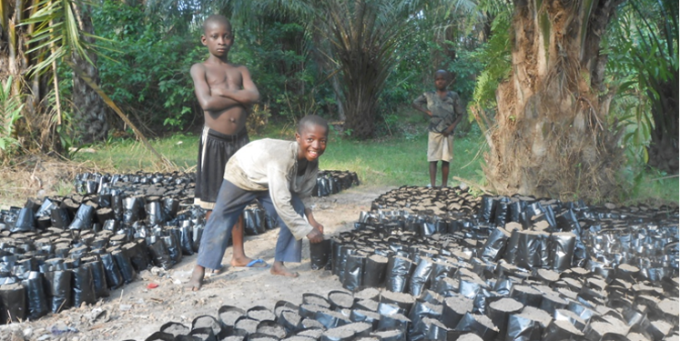 Un cuore per la Sierra Leone-COOPI