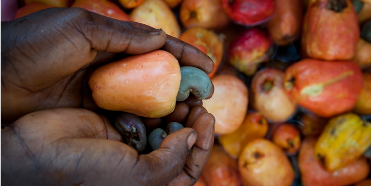 Un cuore per la Sierra Leone-COOPI