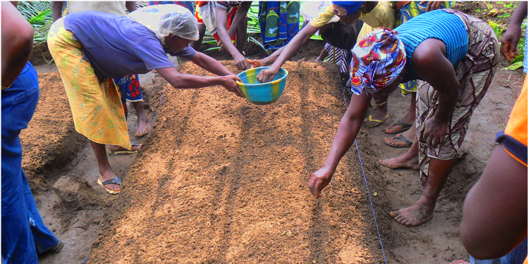 Un cuore per la Sierra Leone-COOPI