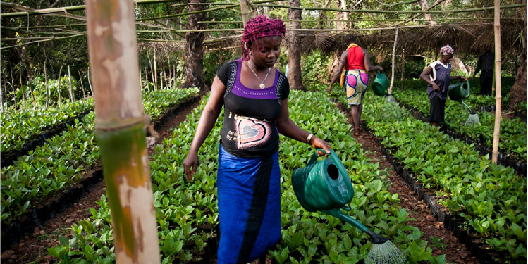 Un cuore per la Sierra Leone-COOPI
