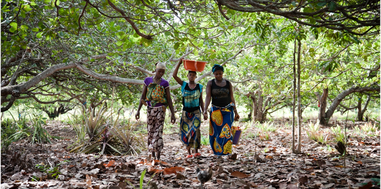 Un cuore per la Sierra Leone-COOPI