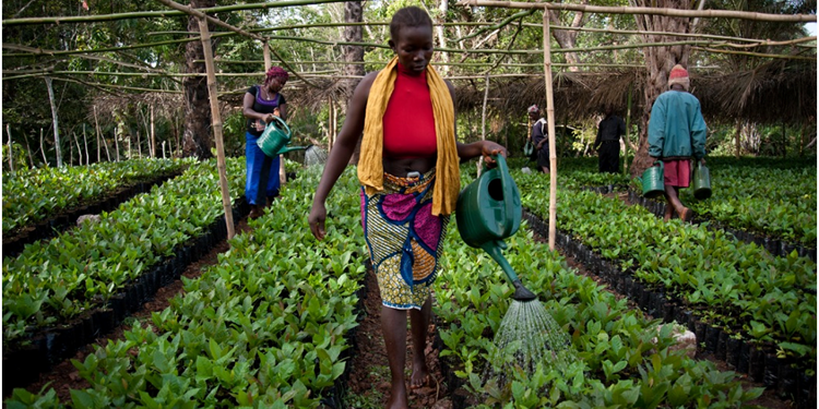 Un cuore per la Sierra Leone-COOPI