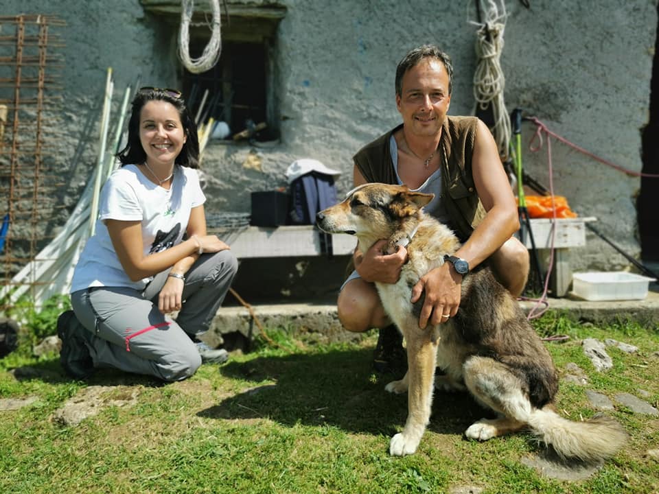 Lupo e orso: una storia a lieto fine! di Eliante Lupo e orso: una storia a lieto fine!-Eliante