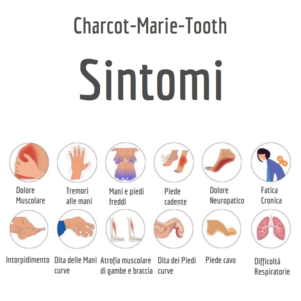  Corri per me , io non posso!-ACMT-Rete