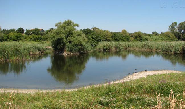 La Valle del Metauro, la nostra casa di Associazione Naturalistica Argonauta La Valle del Metauro, la nostra casa-Associazione Naturalistica Argonauta