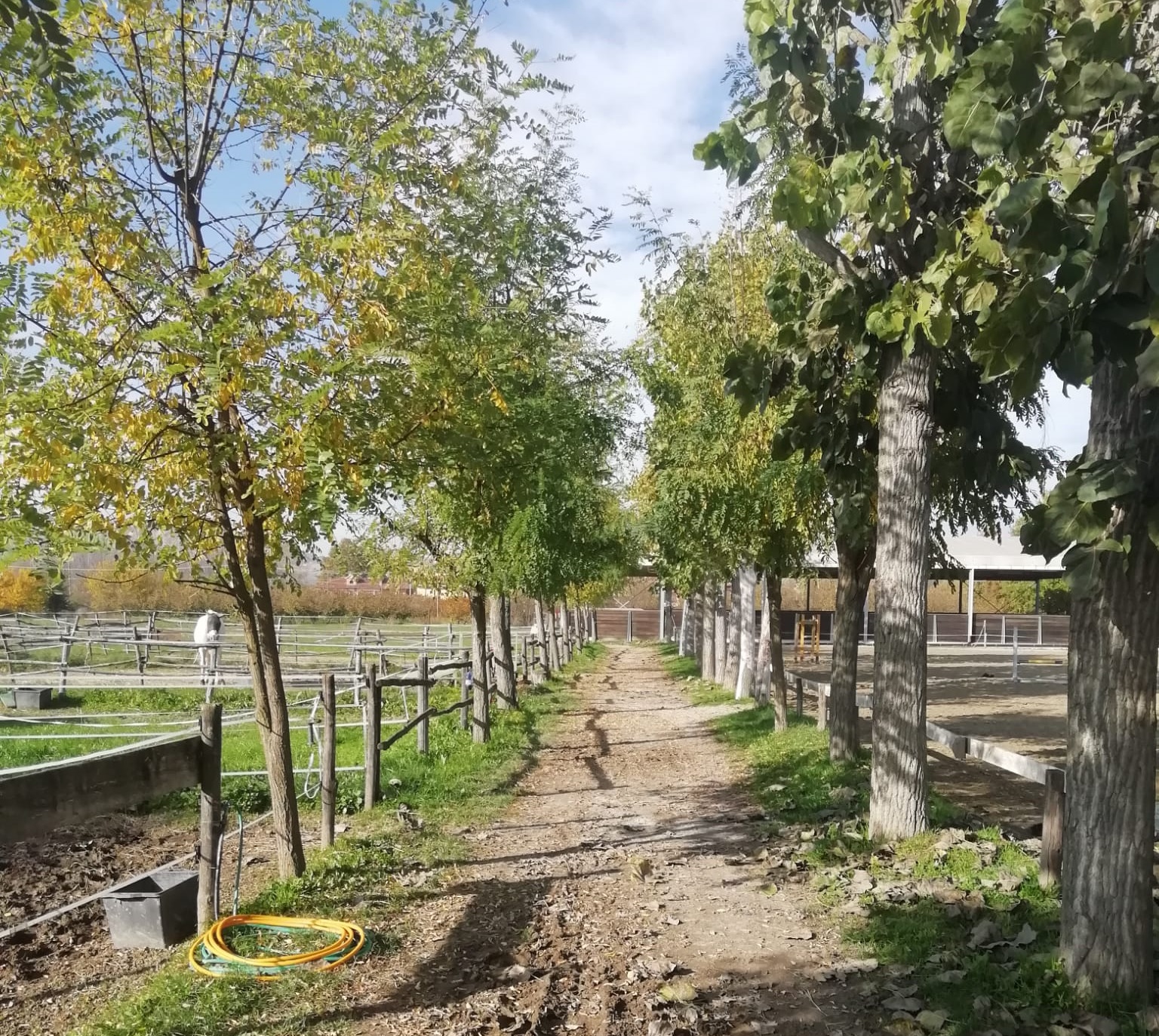A cavallo di un sogno di SportABILI Alba A cavallo di un sogno-SportABILI Alba