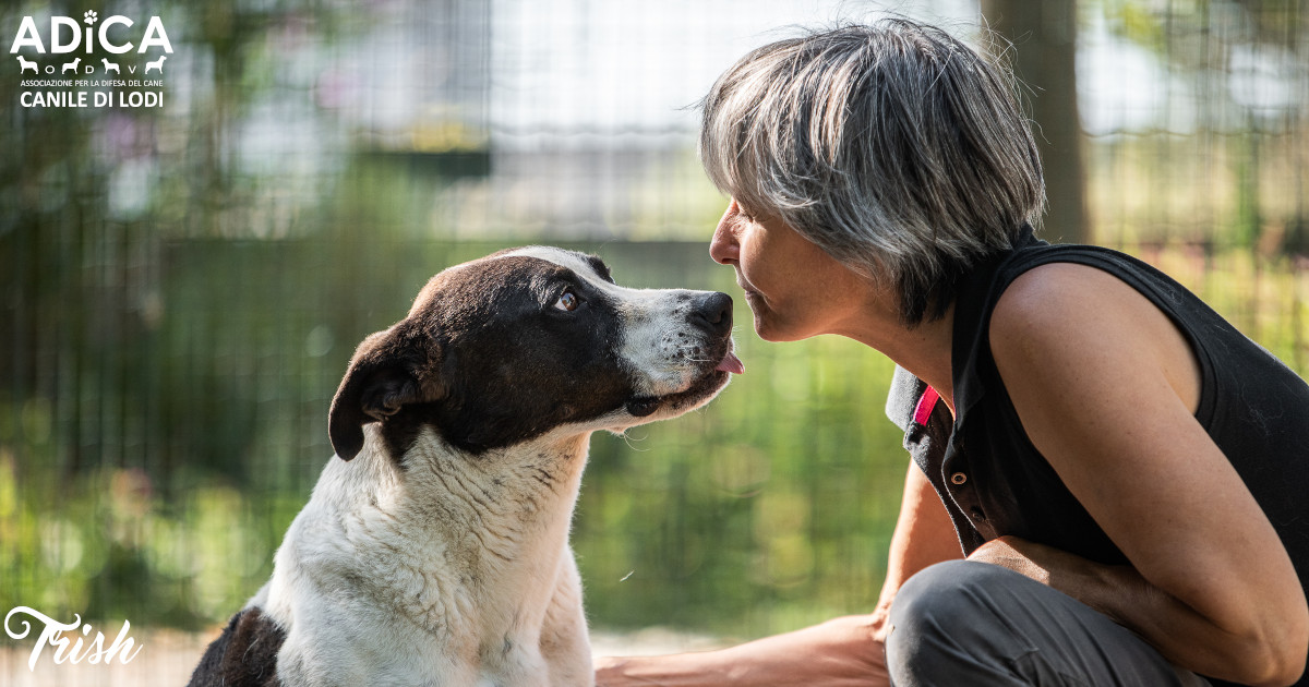 Una “masticata” di solidarietà!-A.DI.CA ODV
