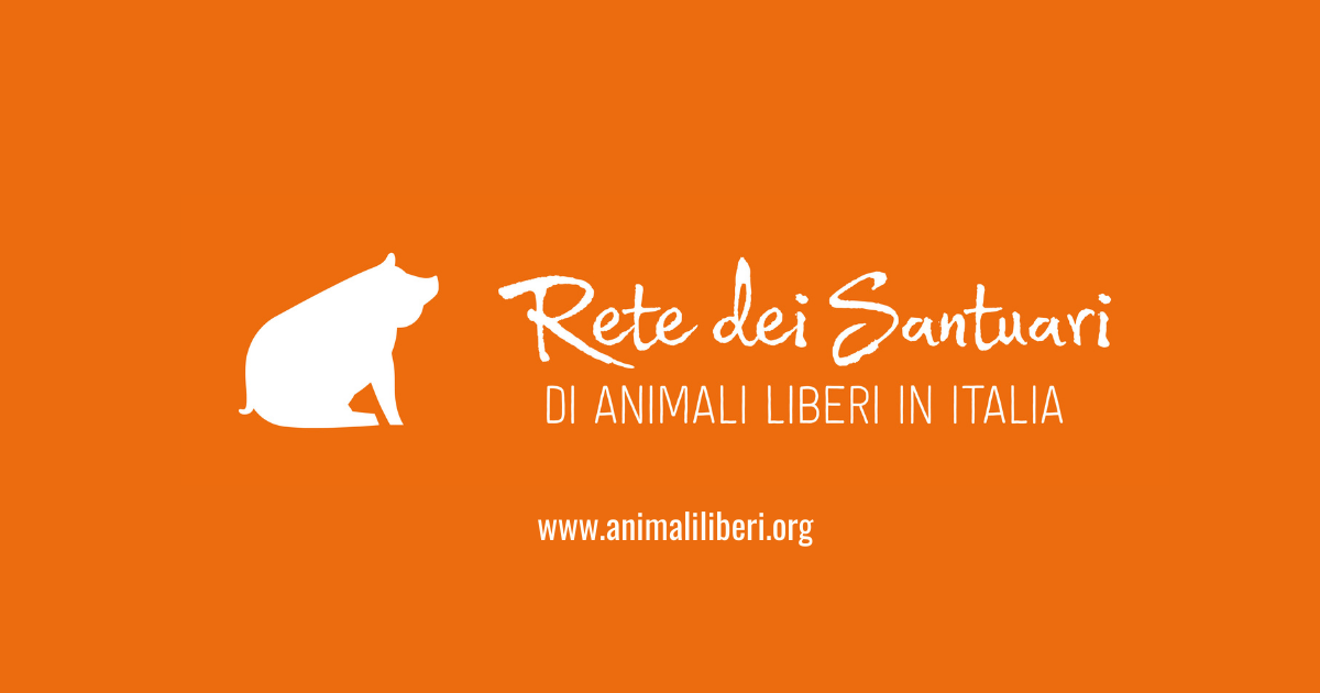 Un aiuto per la vita e per la libertà.-Vitadacani