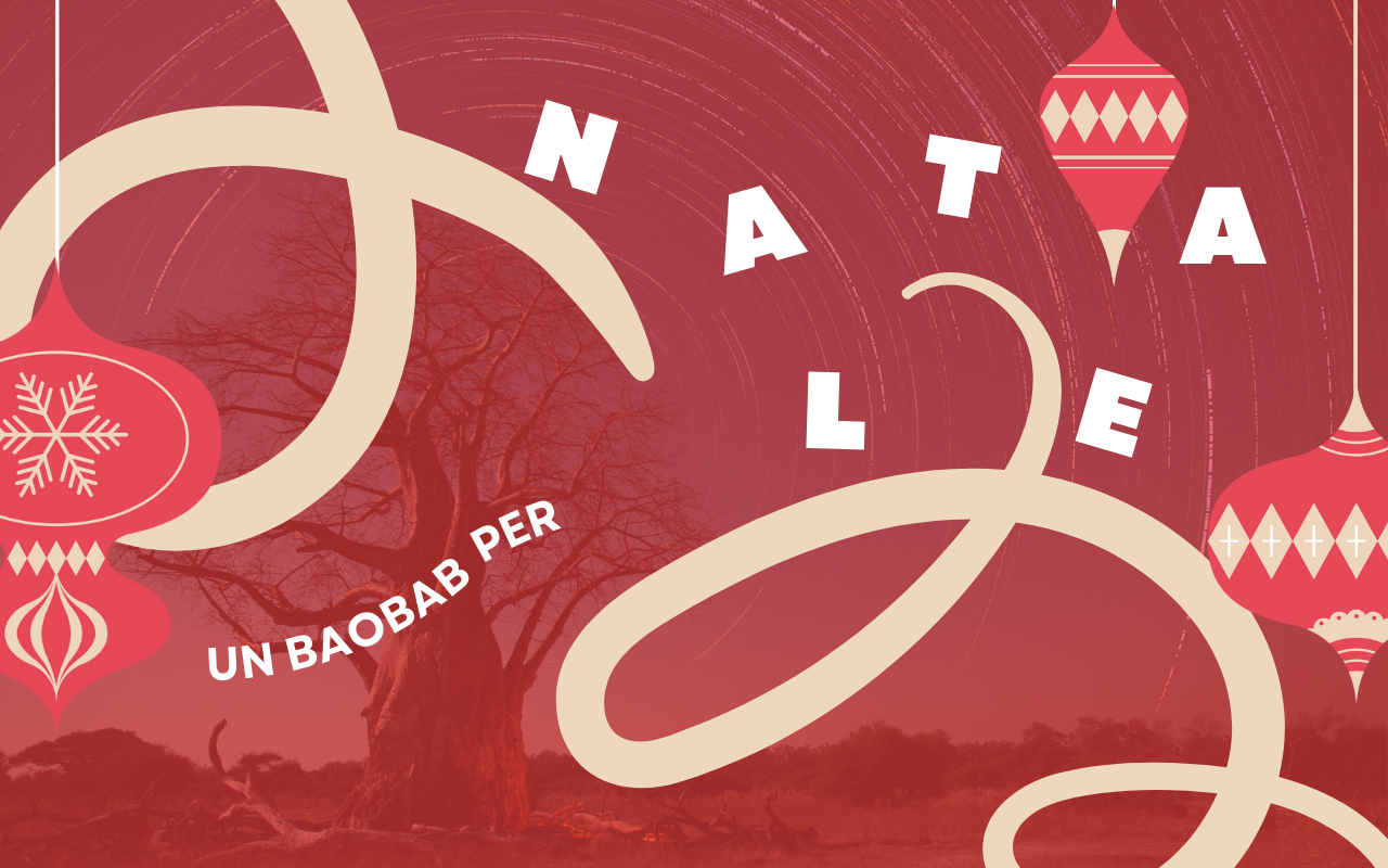 Un "baobab" per Natale di Equa Un "baobab" per Natale-Equa