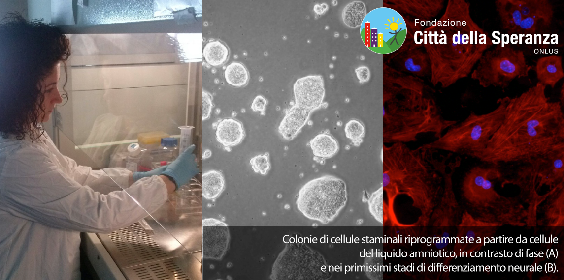 Una terapia per i difetti genetici-Città della Speranza