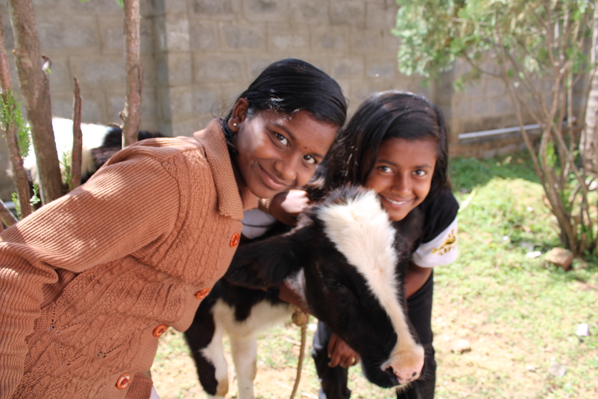 Un parco giochi per i bimbi in India-Vanaprastha