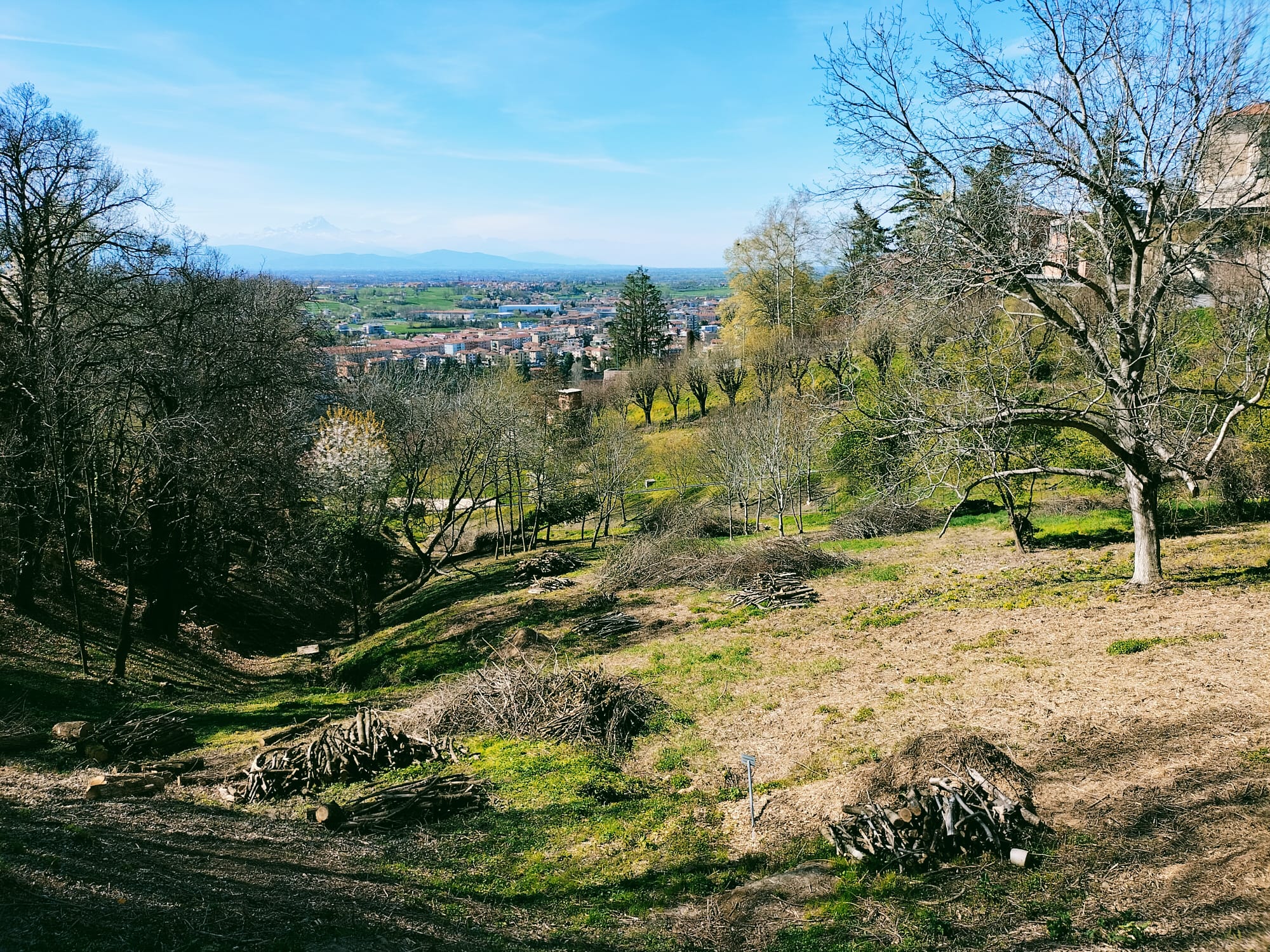 Lunga vita ai castagni della Nova di Proteo scs Lunga vita ai castagni della Nova -Proteo scs