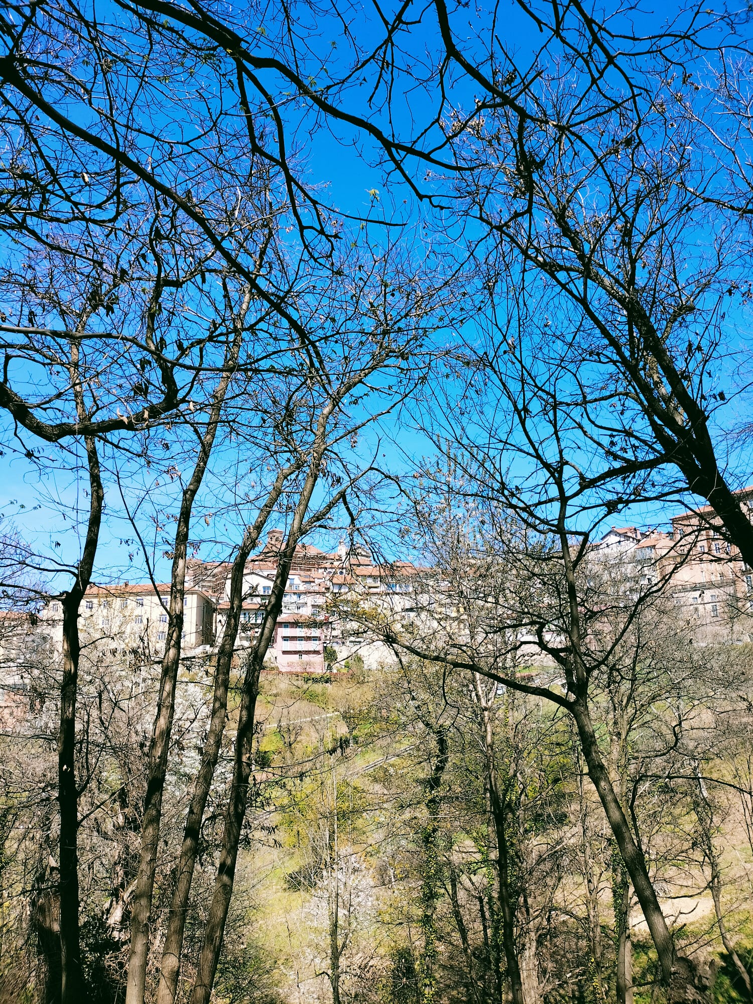 Lunga vita ai castagni della Nova di Proteo scs Lunga vita ai castagni della Nova -Proteo scs