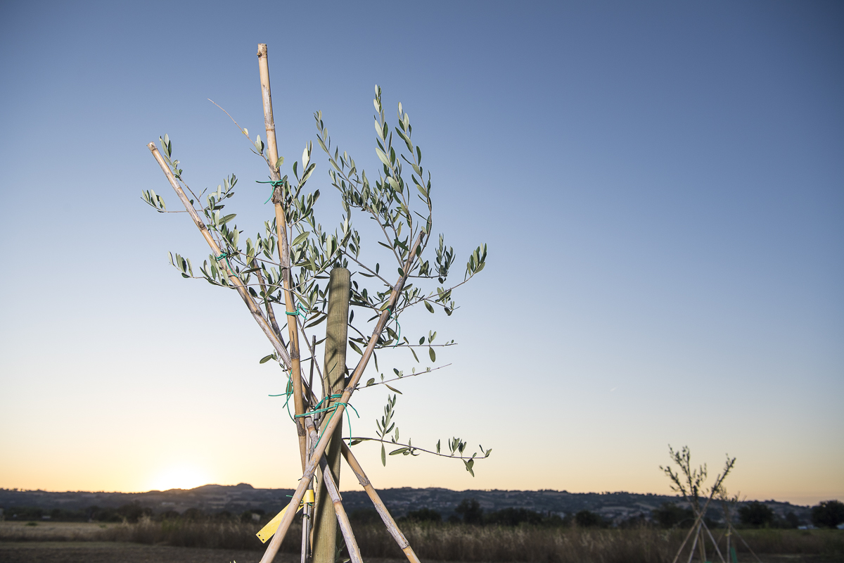 VIVERE SERENI: PERSONE AL "CENTRO"! di AVS VIVERE SERENI: PERSONE AL "CENTRO"!-AVS