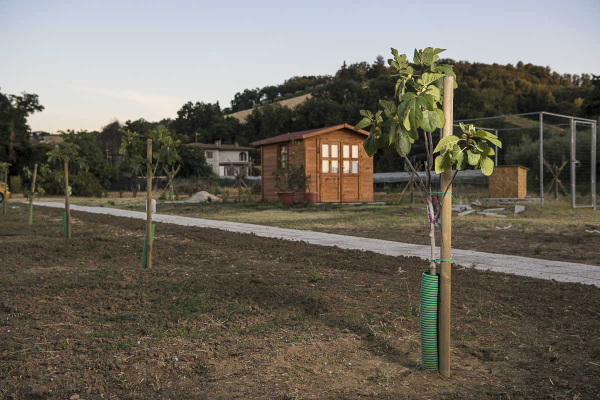 VIVERE SERENI: PERSONE AL "CENTRO"! di AVS VIVERE SERENI: PERSONE AL "CENTRO"!-AVS