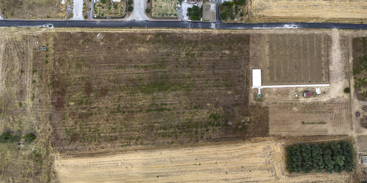VIVERE SERENI: PERSONE AL "CENTRO"! di AVS VIVERE SERENI: PERSONE AL "CENTRO"!-AVS