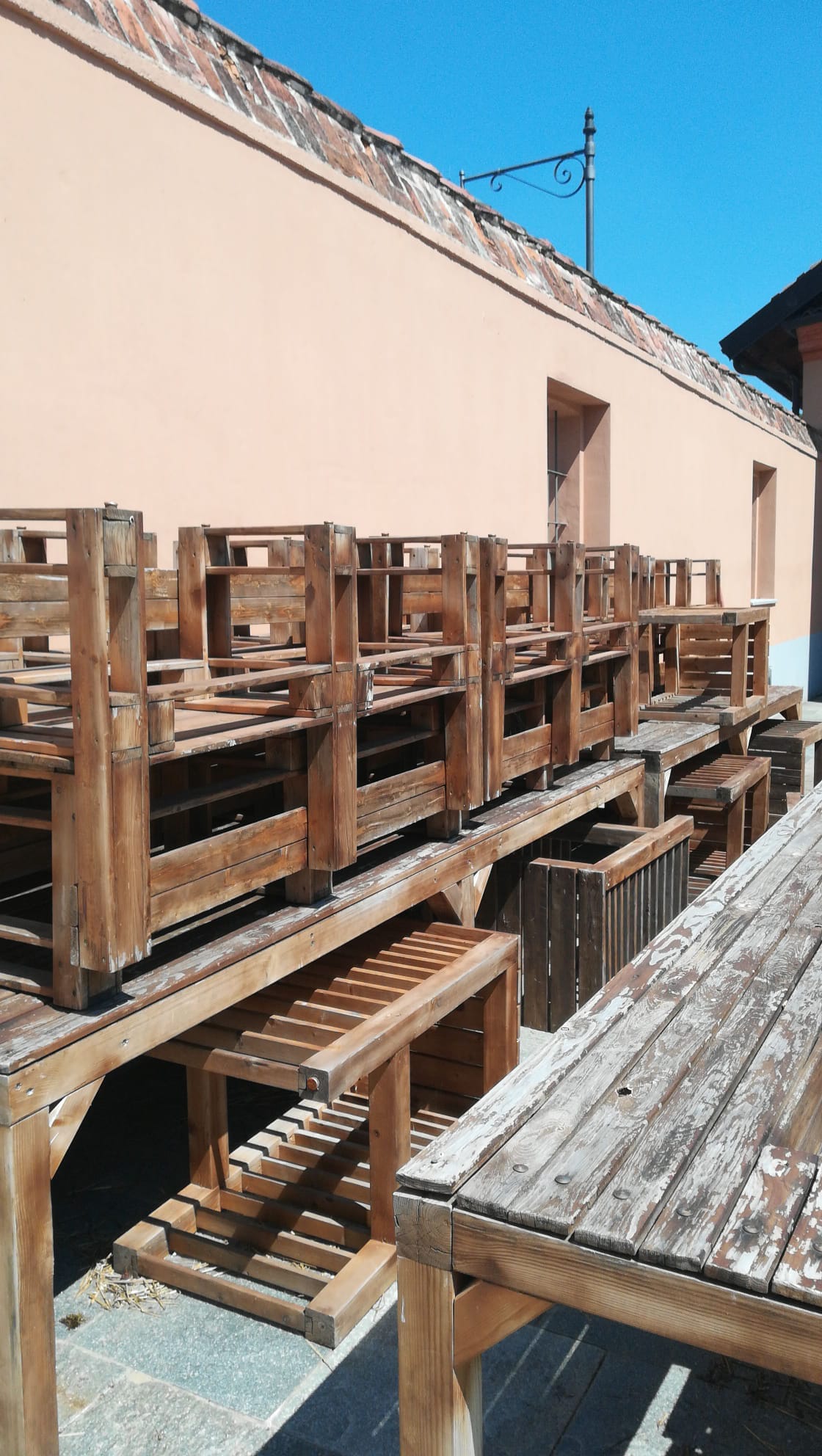 Rigenerare per ripartire di Palm Work & Project ONLUS Rigenerare per ripartire-Palm Work & Project ONLUS