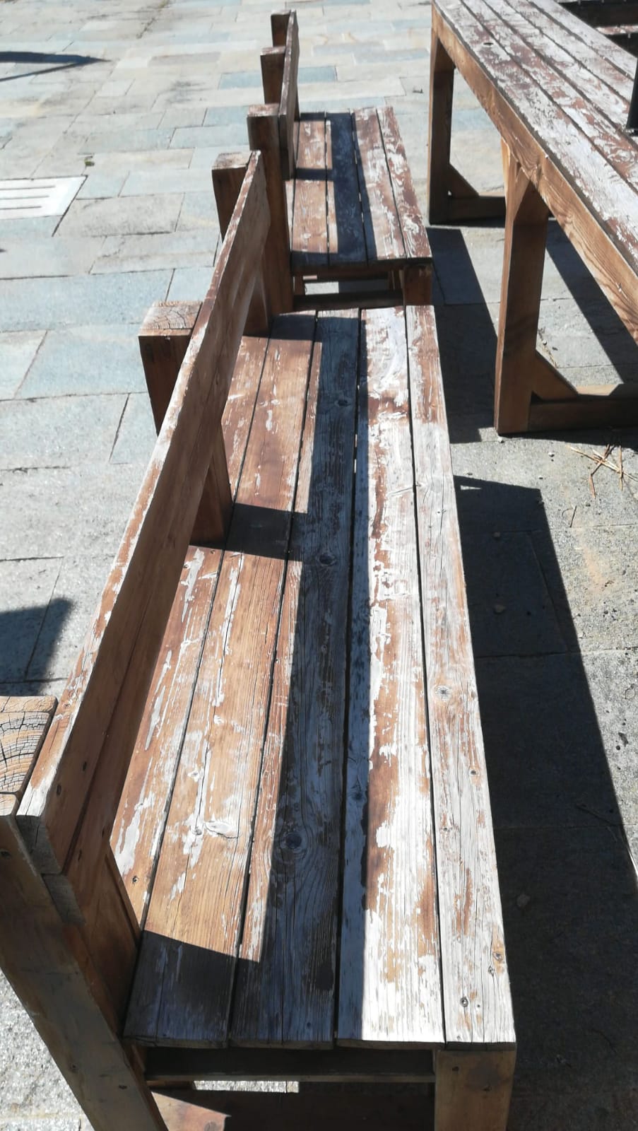 Rigenerare per ripartire di Palm Work & Project ONLUS Rigenerare per ripartire-Palm Work & Project ONLUS