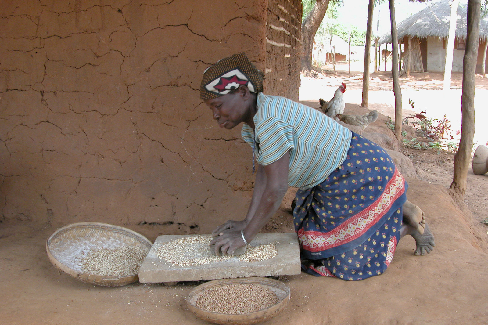 UNA PAPPA AL SOLE di SOLE UNA PAPPA AL SOLE-SOLE