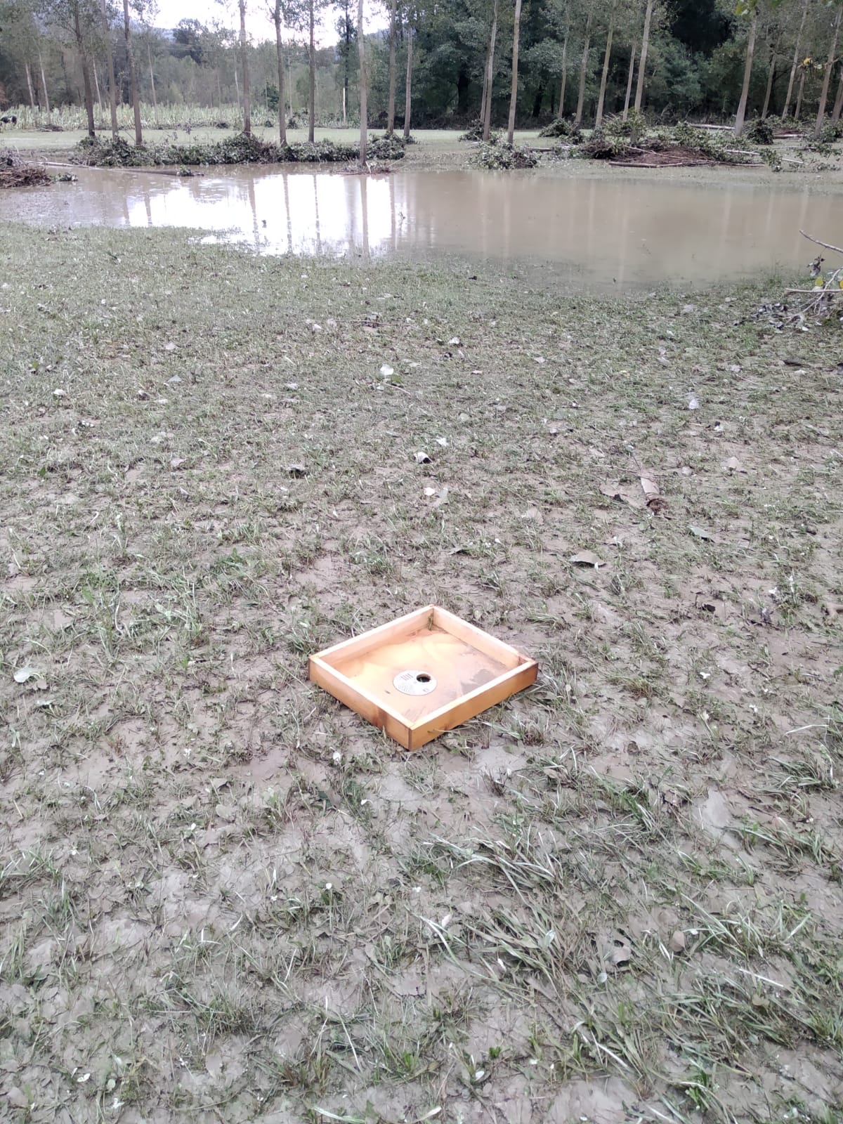 Ridiamo le Api agli Apicoltori! di Ass. Apicoltori AVVG Ridiamo le Api agli Apicoltori!-Ass. Apicoltori AVVG