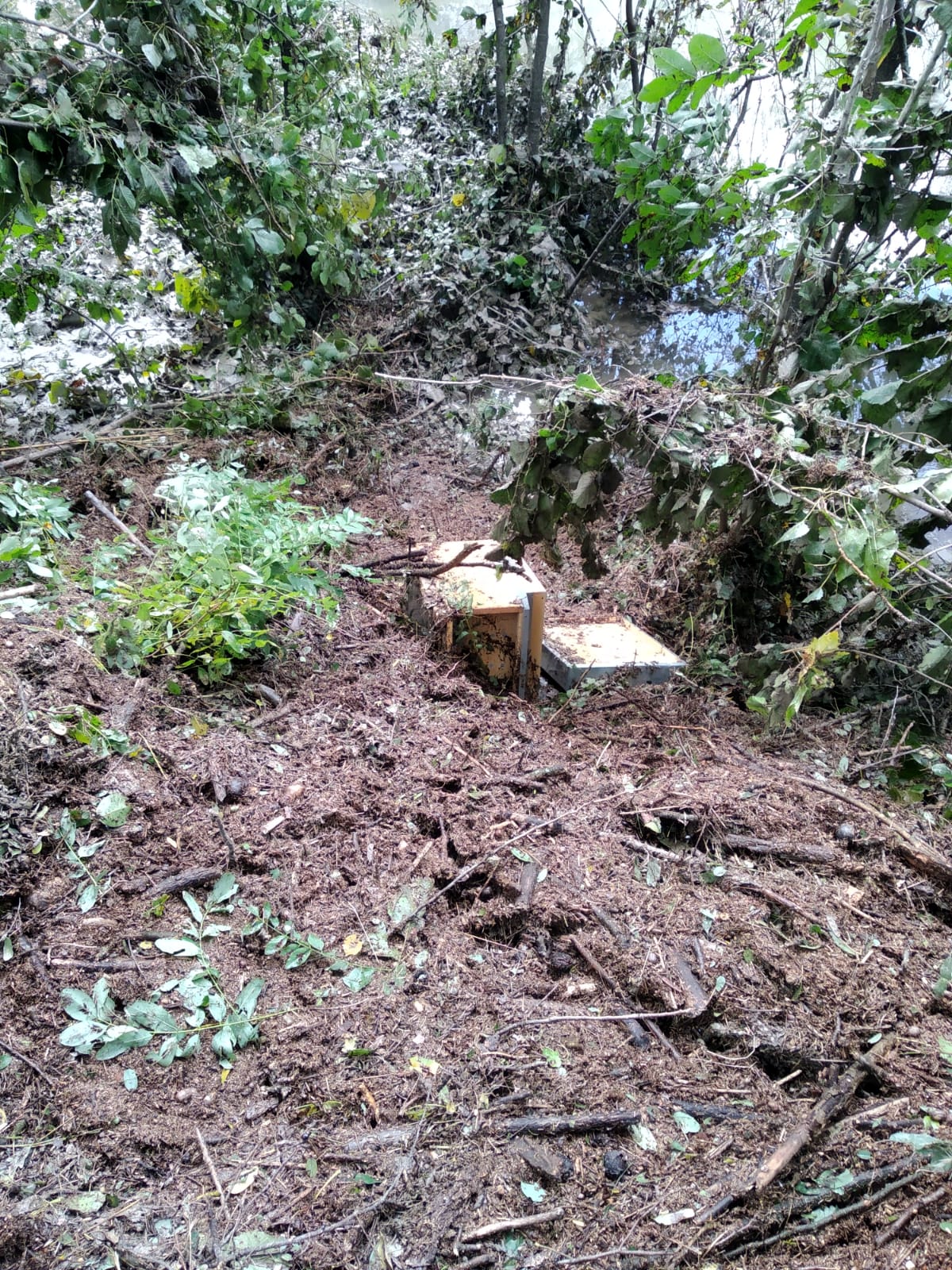 Ridiamo le Api agli Apicoltori! di Ass. Apicoltori AVVG Ridiamo le Api agli Apicoltori!-Ass. Apicoltori AVVG