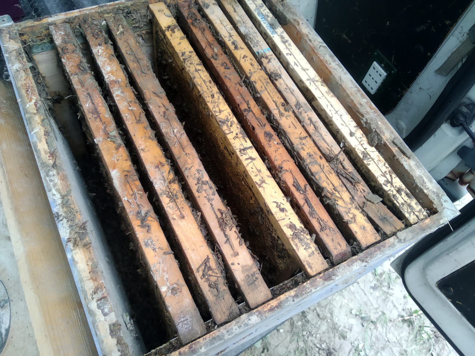 Ridiamo le Api agli Apicoltori! di Ass. Apicoltori AVVG Ridiamo le Api agli Apicoltori!-Ass. Apicoltori AVVG