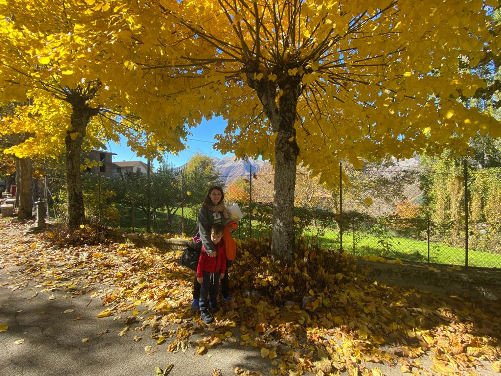 LACULO, UN PARCO GIOCHI PER TUTTE LE ETÀ di Laculo Insieme LACULO, UN PARCO GIOCHI PER TUTTE LE ETÀ-Laculo Insieme