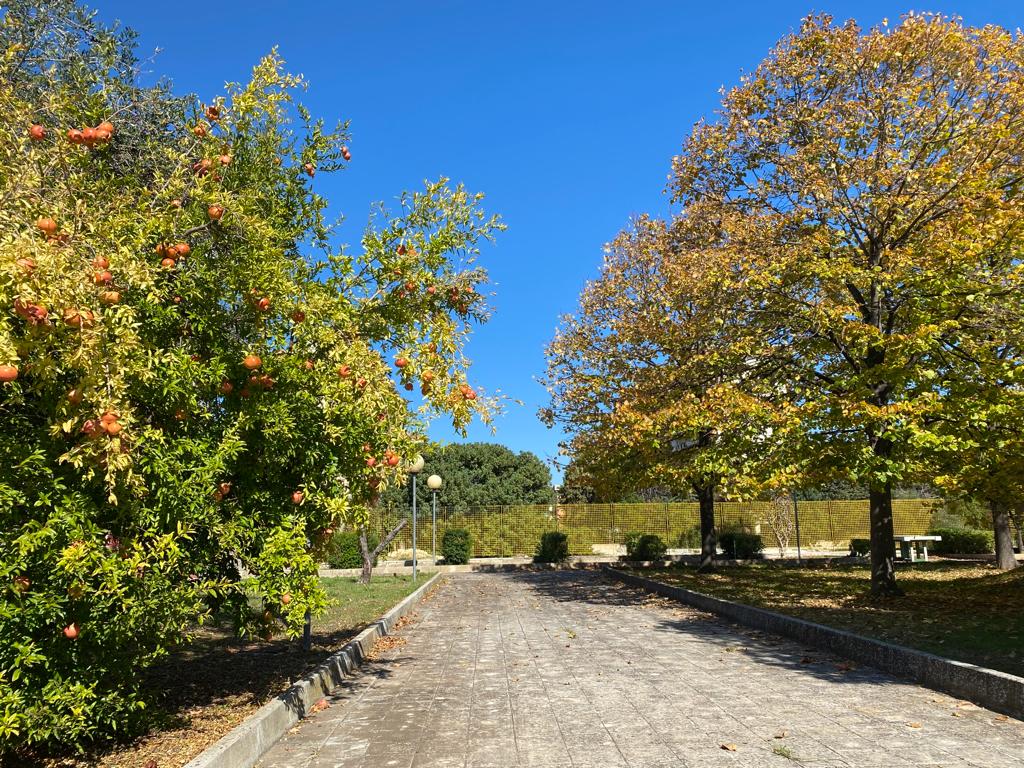 A(i)U(o)LA verde IC Japigia 1 Verga Bari di IC Japigia1Verga A(i)U(o)LA verde IC Japigia 1 Verga Bari-IC Japigia1Verga