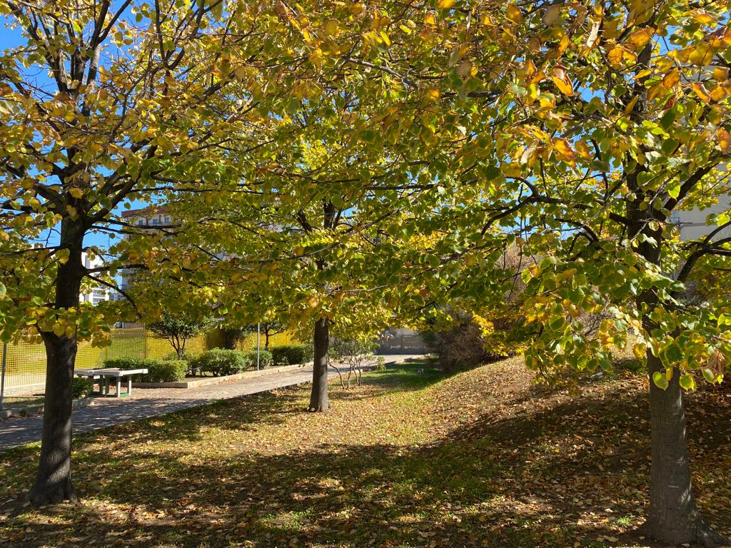 A(i)U(o)LA verde IC Japigia 1 Verga Bari di IC Japigia1Verga A(i)U(o)LA verde IC Japigia 1 Verga Bari-IC Japigia1Verga