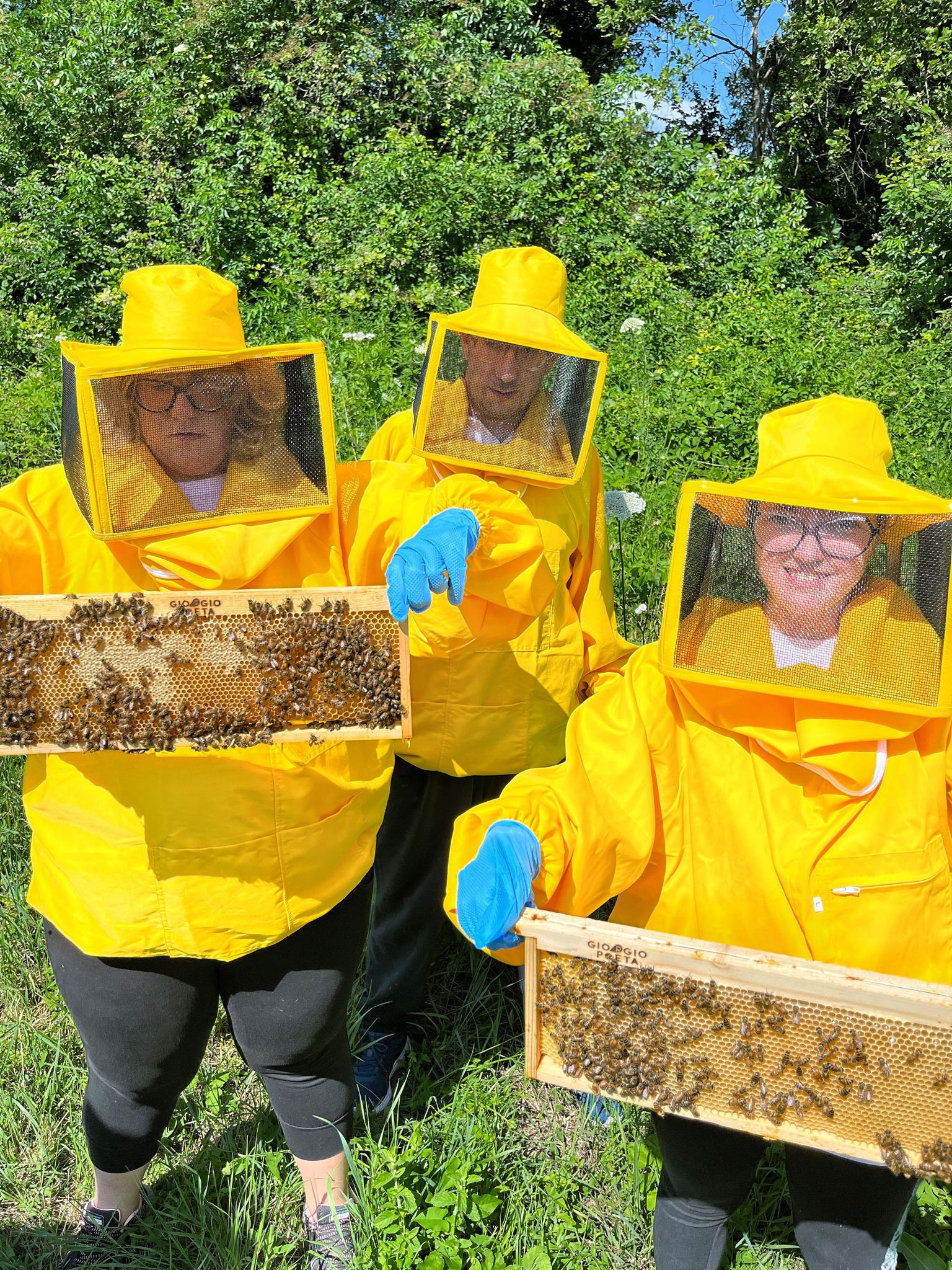 BeeFrolla - Dolci come il miele-Frolla Microbiscottificio