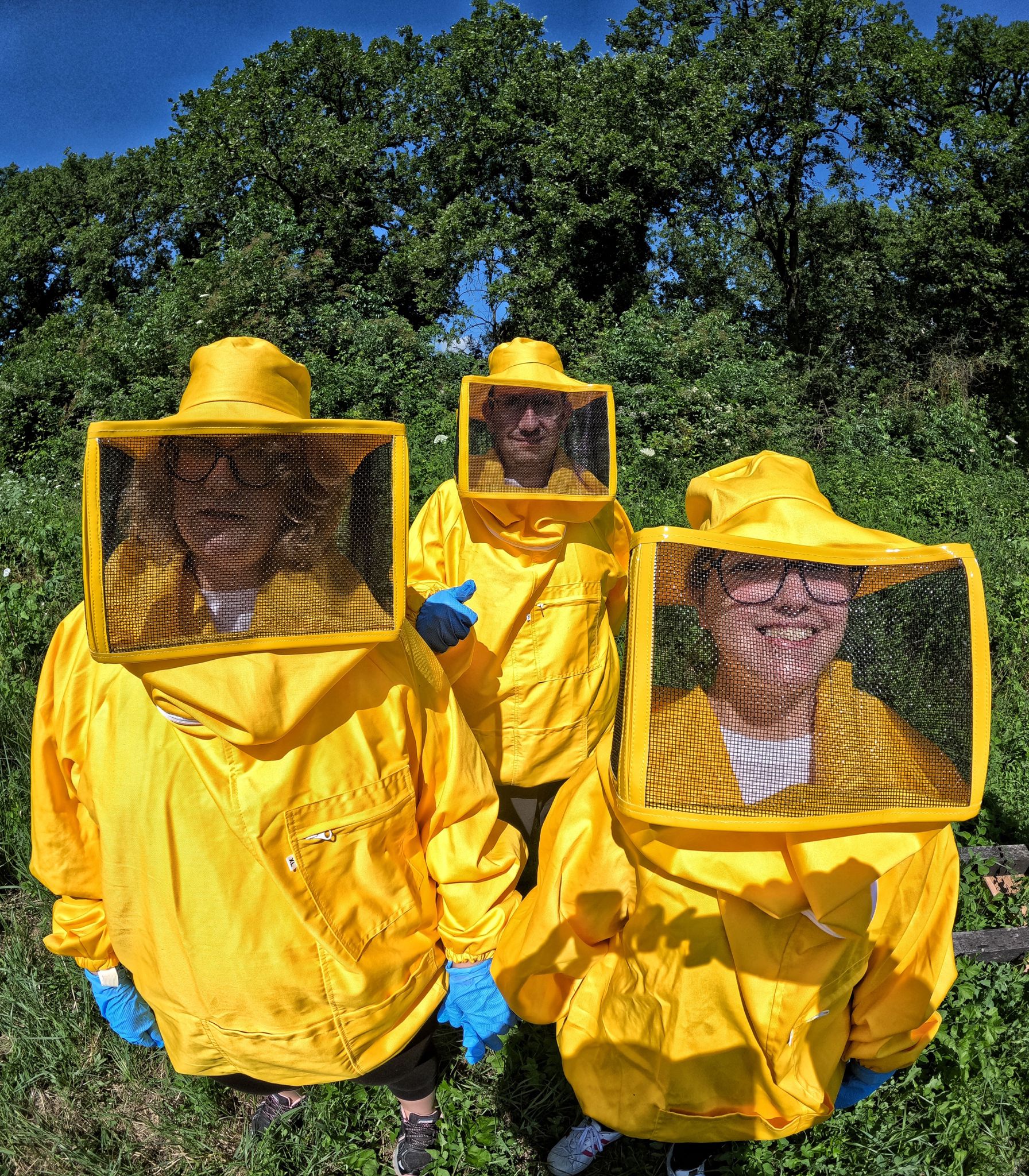 BeeFrolla - Dolci come il miele-Frolla Microbiscottificio