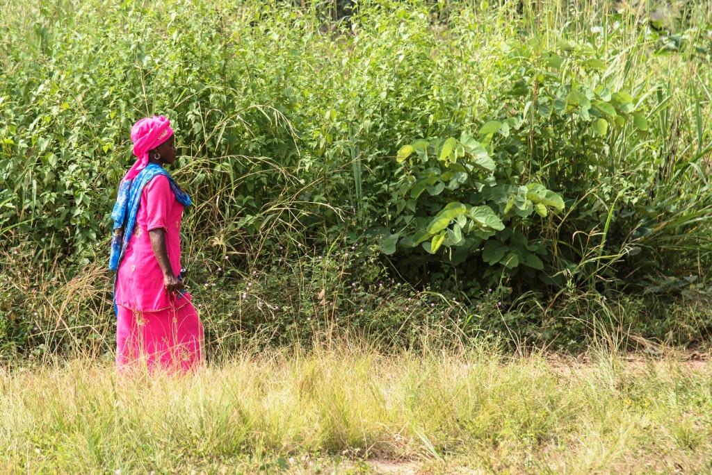 Insieme per le donne della Sierra Leone di COOPI Insieme per le donne della Sierra Leone-COOPI