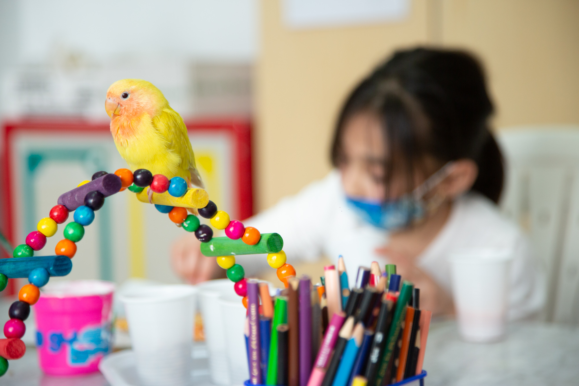 LIBERI DI... di Cooperativa Sociale Libero Nocera LIBERI DI...-Cooperativa Sociale Libero Nocera