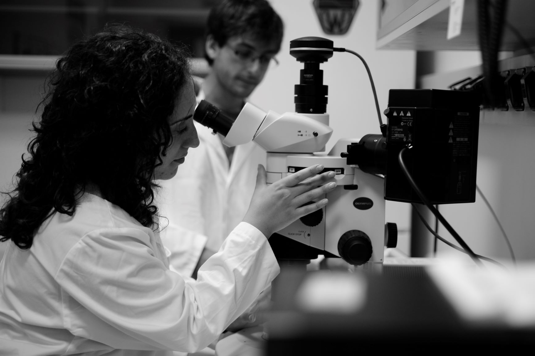 Fai Correre la Ricerca 2019-IRCCS, Mario Negri