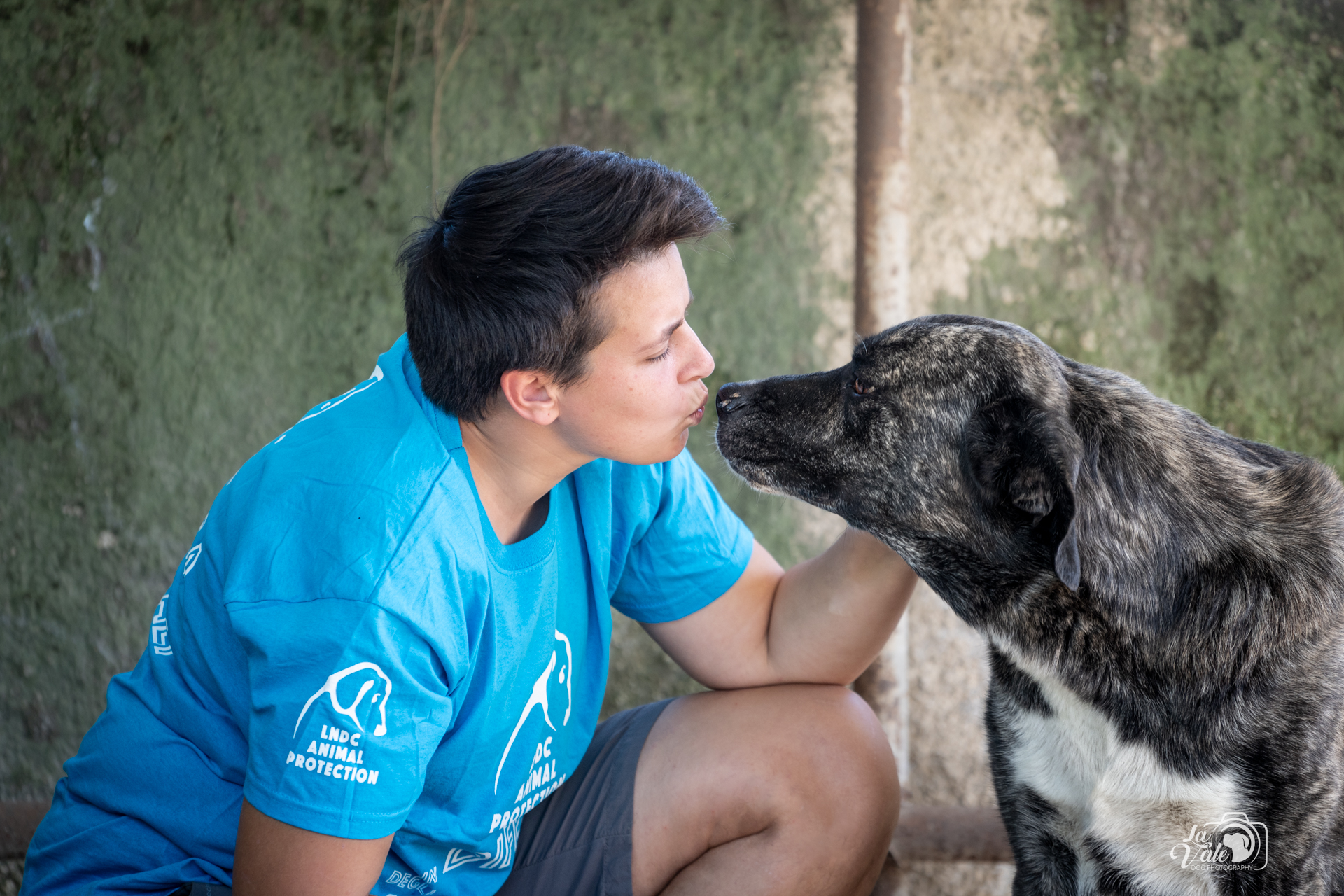 Salviamo i cani di Pescara-LNDC Pescara