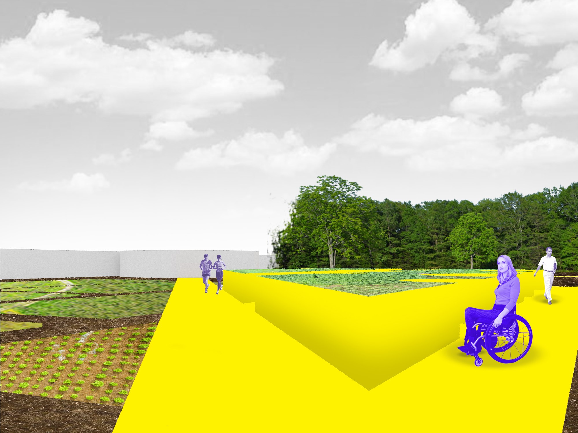 Orto solidale Tutti giù per terra-FONDAZIONE ALESSIO TAVECCHIO ONLUS