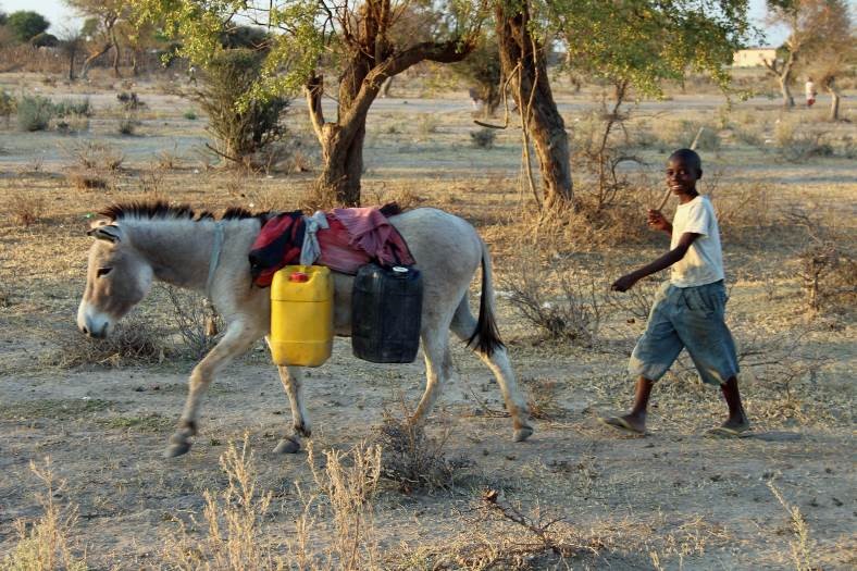 Katuto-Katuto, per l'ospedale di Chiulo! di Medici con l'Africa Cuamm Katuto-Katuto, per l'ospedale di Chiulo!-Medici con l'Africa Cuamm