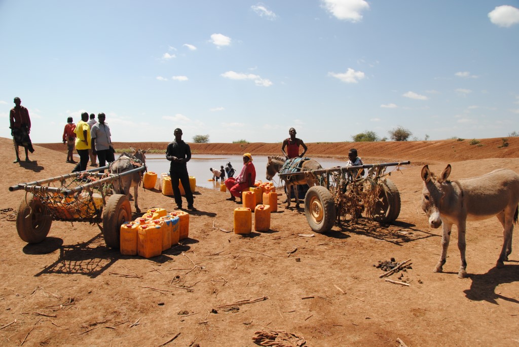 Corri per la salute di Comitato Collaborazione Medica - CCM Corri per la salute-Comitato Collaborazione Medica - CCM